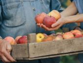 �������� ������ ����� � ����� �� �����������