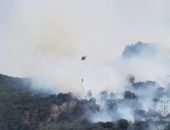 Площадь пожара в районе Коктебеля выросла еще в полтора раза