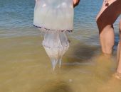 ��������� ����� � �����: � ��� �������?