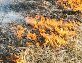 ��������� ����� � �����: � ������ ��� ����� ����� ����� �����