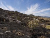 � ����������� ����������� ��������� ���� ����� ������ �����