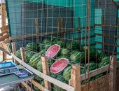 � ����������� ����������� ��� ����� ���� � �������