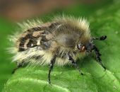 ������ � ����� �������� ����� �������� 