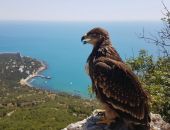 "���������� ����" ������ ����� ���������� ��������� ��-�� ����