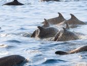 ������ ����� ��������� ����������� �� ����� � ����� �� ��������� ������