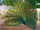 � ����������� ������� ������ ���������� ������