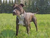 � ����������� ������� �������� ���������� ��-�� ��������� ���� �����