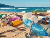 ������� �������� �� ������� ����� � ������� ���� � �����