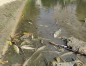 ��� ���� � ��������������� ������� ��� ��������� ��-�� ����