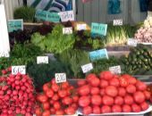 ���� � ����� �� ������ �������� �� ������ ������