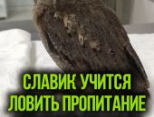 � ����� �������� �� ������ ������� ������ ���� ������� �������