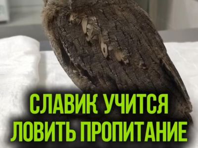 � ����� �������� �� ������ ������� ������ ���� ������� �������