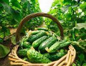 � ����� ����� ������ ���� �� ������ � �������