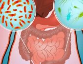 � ����� ����� ���� ������ ��������� ����������