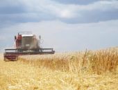 ������ ��������: � ����� �������� ������ ��������