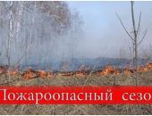 Запрет на посещение лесов в Крыму продлили до конца августа