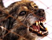 � 2024 ���� � ����� �������� ����� ������ ������ �����