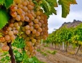 ���� �� ������� ������������� ������ ������������� � �����