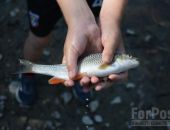 � ����� ������� ������� �������� ������ ������������ ����