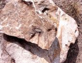 ��������� ����� � ����� ����������� ���������� �����