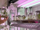 � ����� �� �������� ���������� ���� ��������� ��������� ����������������