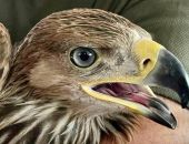 � ������������� � ���� �������� ������������� ����