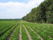 � ����� ����������� ����� 100 �������� ���������