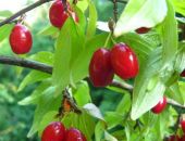 � ����� ���������� � ����� ������