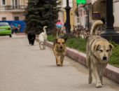 Что было в этот день в Феодосии и Крыму в прошлые годы 11 августа