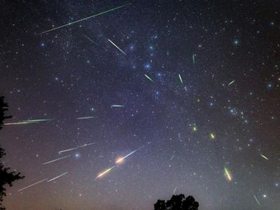 ��������: ����� � ����� ����� ��������� ��� ���������� ������ ��������