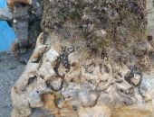 � ����� ������� ������� �� ��� ���� �������� ������� �� ������������� ������� 