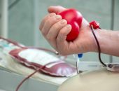 � ����� ������ 6 ����� ������� ����� ������ ���������� ������