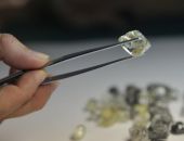 � ������ ��������� ��������� ������� ������� �� �����, - ��� ������