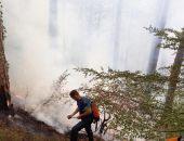 ����� ����� ��� ��� �����