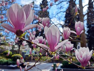 � ������������ ������ ���������� ��������� ������� ��������