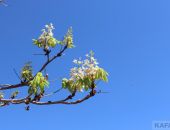 � �������� � ������� ����� ������� �������