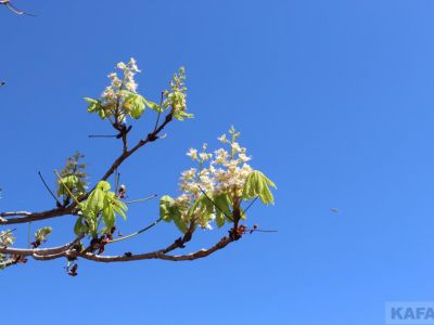 � �������� � ������� ����� ������� �������