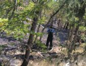 Лесной пожар на Южном берегу Крыма тушили почти сутки