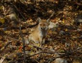 �� ������� ����� ����� ���� �������� ������ �������