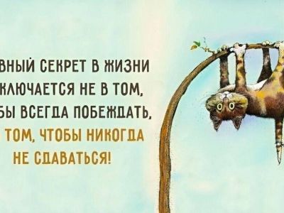 ����� ���� ���� ������: 5 �������, ������� ������� �������� � ��� ���� ������