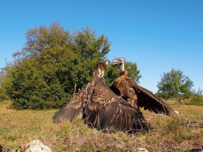 � ����� ������� ��������� �������������  ������ � �����