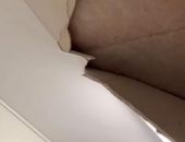 � �������� ������� ���������� ����� �������