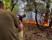 � ���� ����� ����� ����������