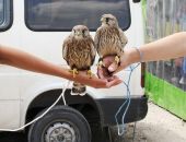 �� ����� ������ ����� ����� ������ ��������� ������������