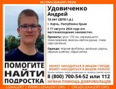 Розыск: в Крыму  ищут пропавшего подростка