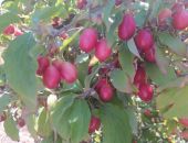 ��� � ����� ���������� �����