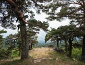 ����������� ���������� ��������� "����������� �����" �������