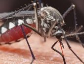 ������� ��������� ���� ������, � ��� ��� �� ���� ��������!