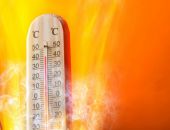 �� ����� ��������� ���������� ����