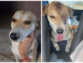 � �������� ���-�� ������� �� �������